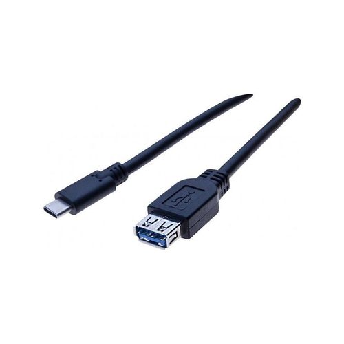 Adaptateur Type-C vers Type A -0,5m