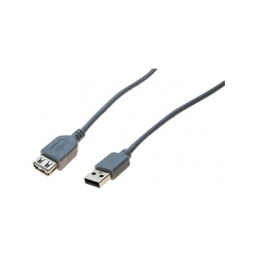 Rallonge USB 2.0 grise - 0,6 m