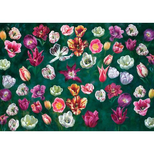 Puzzle 1000 Pièces Tulip Garden