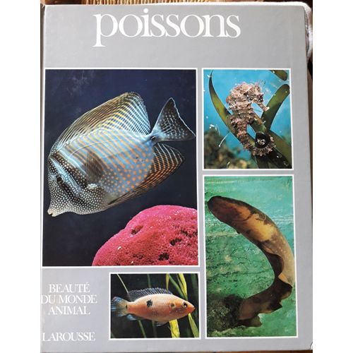 Beauté Du Monde Animal, Poissons