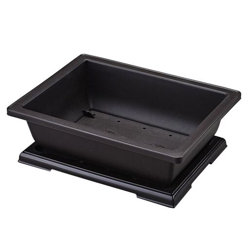 Jardinière Rectangulaire Pour Fleurs Succulentes, Bac Décoratif Pou...