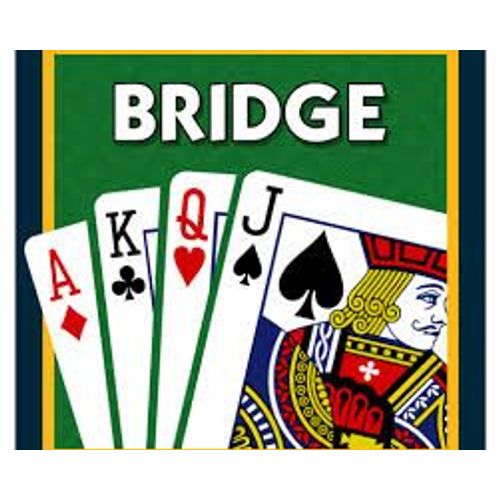 Bridge - Le Meilleur Professeur Du Monde Pc