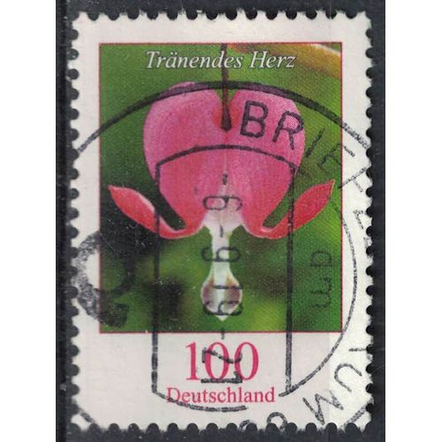 Allemagne 2013 Oblitéré Rond Used Flower Fleur Plante Tränendes Herz CUr De Marie Su