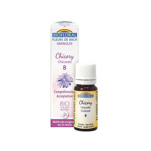 Chicory Granule 