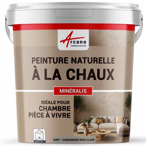 Peinture chaux naturelle : décoration intérieure sans émanation NUANCES MINERALES CHAUX Coriandre Gris Clair 60 m² (2x5 kg en 1 couche)