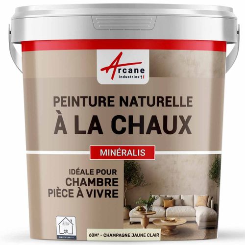 Peinture chaux naturelle : décoration intérieure sans émanation NUANCES MINERALES CHAUX Champagne Jaune Clair 60 m² (2x5 kg en 1 couche)