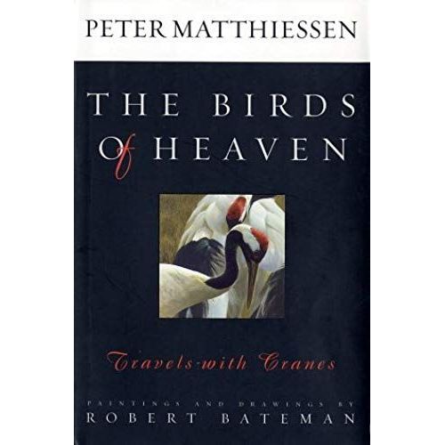 The Birds Of Heaven: Travels With Cranes