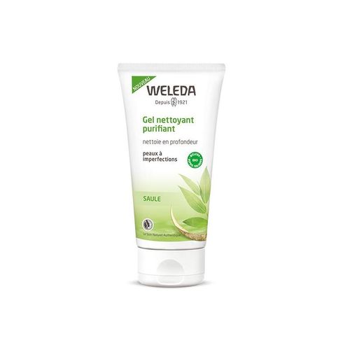 Gel Nettoyant Purifiant 100ml 