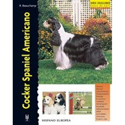 Cocker Spaniel Americano