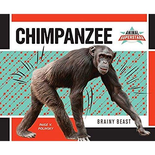 Chimpanzee: Brainy Beast