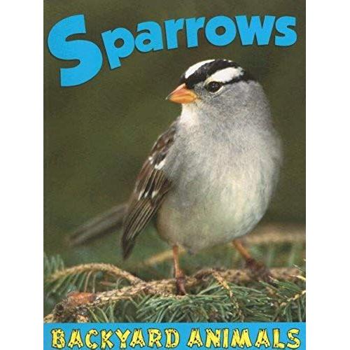 Backyard Animals Sparrows