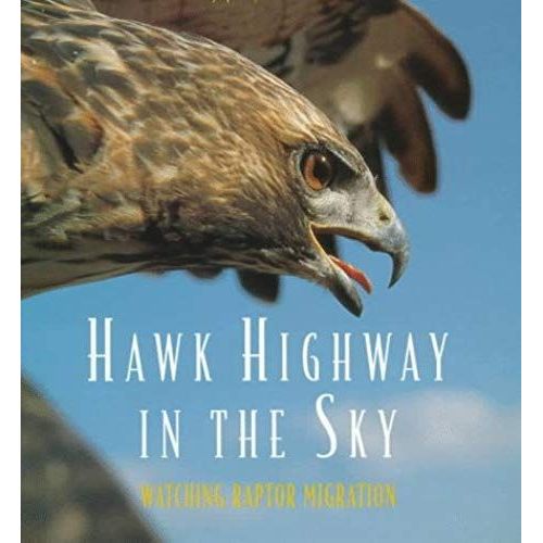 Hawk Highway In The Sky