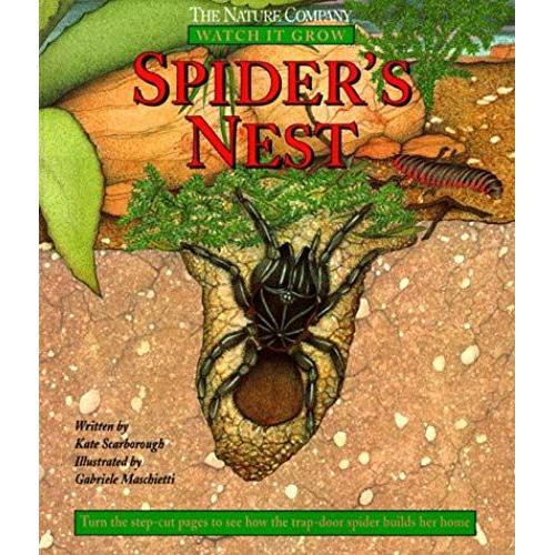 Spider's Nest (Watch It Grow)