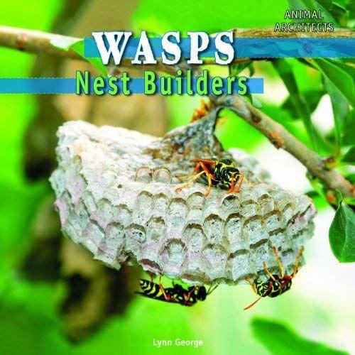 Wasps: Nest Builders (Animal Architects)
