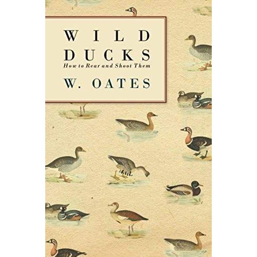 Wild Ducks - How To Rear And Shoot Them