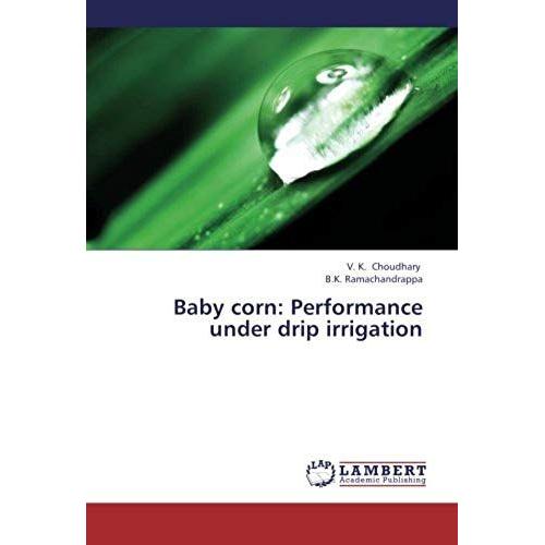 Baby Corn: Performance Under Drip Irrigation