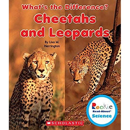 Cheetahs And Leopards
