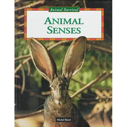 Animal Senses (Animal Survival)