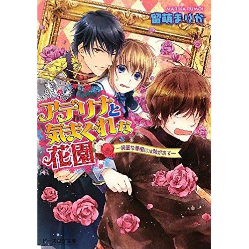 There Is A Thorn In The Beautiful Rose - - Garden Whimsical And Aderina (Beads Log Novel) (2012) Isbn: 4047283738 [Japanese Import]