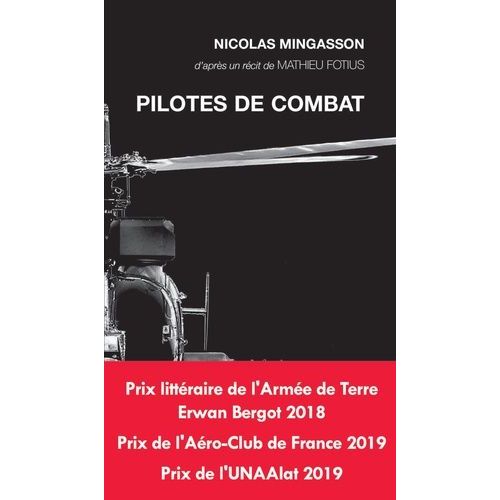 Pilotes De Combat