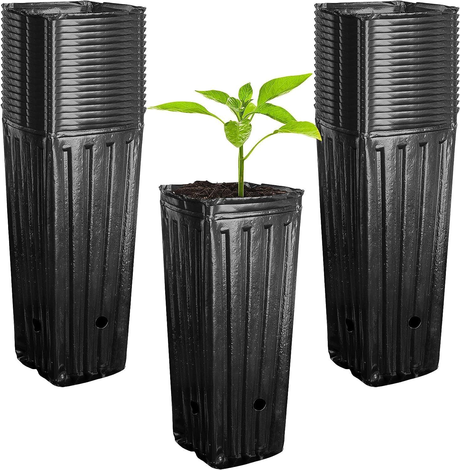 Pots De Pépinière Noirs 20,3 Cm - Lot De 10 Ou 25 - Plastique Léger Avec Trous De Drainage - Pour Plantes, Légumes, Fleurs