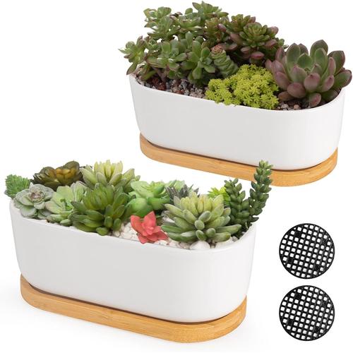 Céramique Blanche. Lot De 2 Petits Pots De Fleurs En Céramique Blanche Pour Plantes Grasses D'intérieur Et D'extérieur, Pots De Bonsaï, Pots De Fleurs Avec Trou De Drainage Et Bol En Bambou