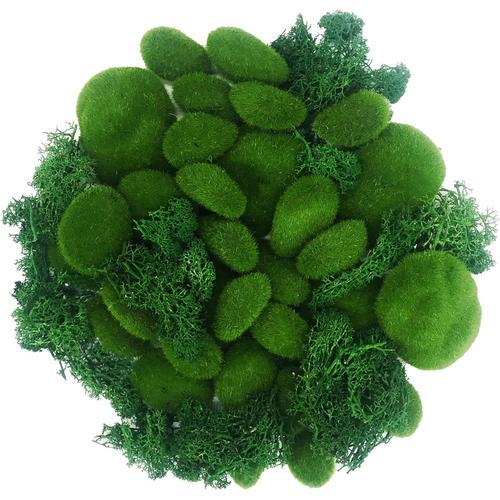 Vert 8 Na Boules De Mousse Vertes, 30 Pcs 3 Taille Boules De Mousse Verte, 30g Mousse Verte Préservée Pour Jardins Féeriques, Terrariums, Ou Floral Ou Autres Arts Créatifs