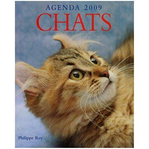 Agenda 2009 Chats