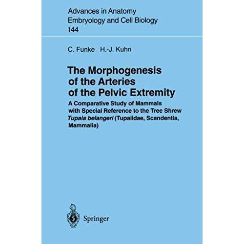 The Morphogenesis Of The Arteries Of The Pelvic Extremity