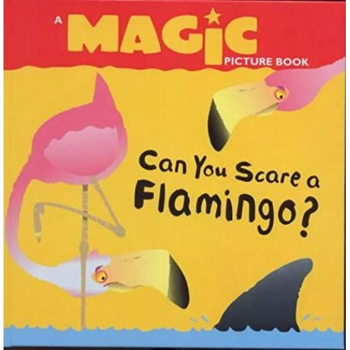 Can You Scare A Flamingo? (Magic Picture Books)