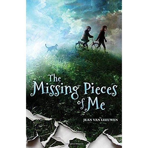 The Missing Pieces Of Me
