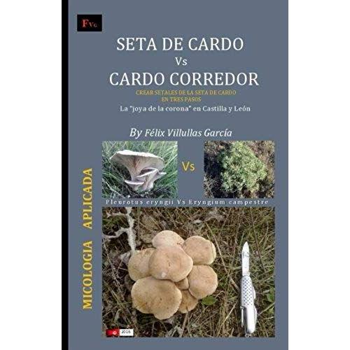 Seta De Cardo Vs Cardo Corredor: Crear "Setales" De La Seta De Cardo En Su Habitat Natural. La "Joya De La Corona" En Castilla Y Leon