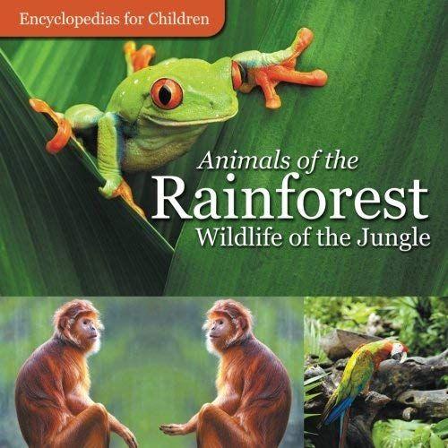 Animals Of The Rainforest | Wildlife Of The Jungle | Encyclopedias For Children