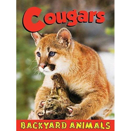 Backyard Animals Cougars