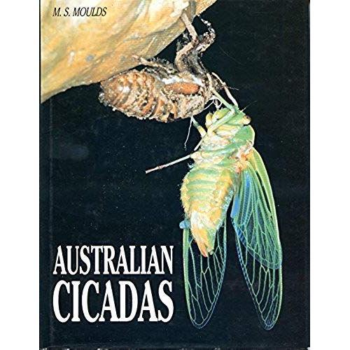 A Guide To Australian Cicadas