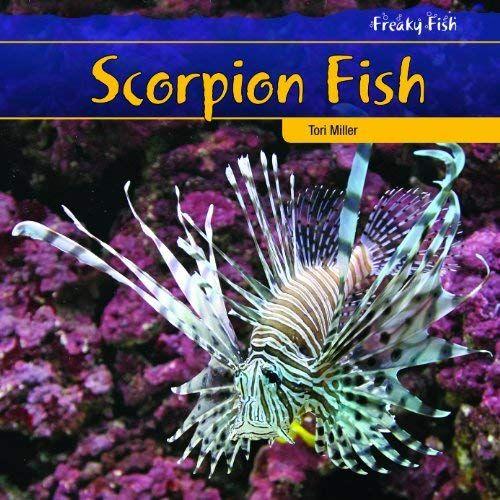 Scorpion Fish (Freaky Fish)