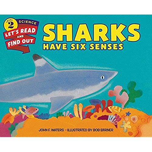 Sharks Have Six Senses