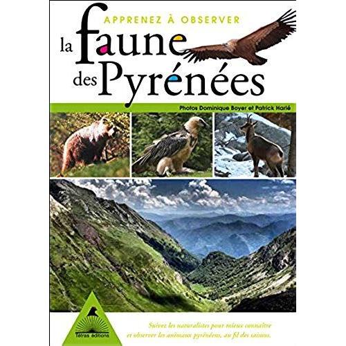Apprenez À Observer La Faune Des Pyrénées