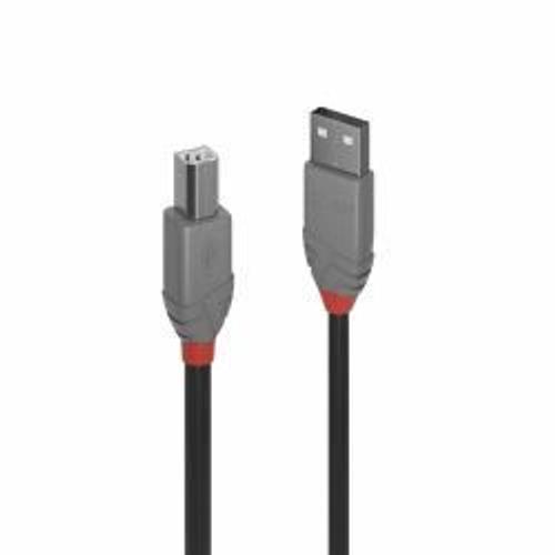 Lindy Anthra Line - Câble USB - USB (M) pour USB type B (M) - USB 2.0 - 2 m - rond - noir
