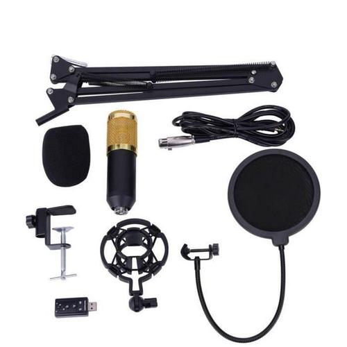 Ensemble de microphone à condensateur Bm800 Studio Bras de microphone à condensateur Support Filtre anti-pop Kit de capuchon en mousse Accessoire