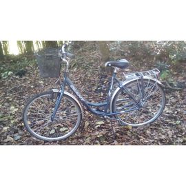 Vélo Giant Bleu Avec Panier