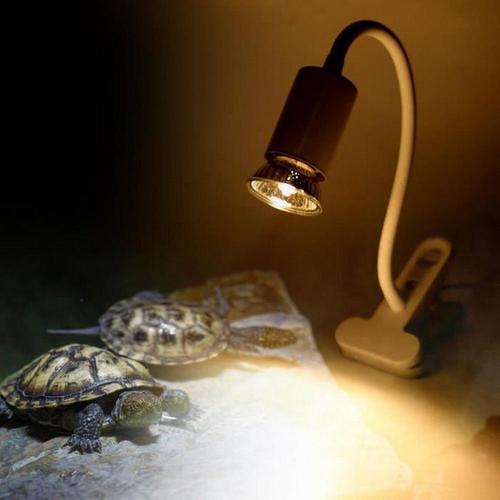 Lampe Reptile Cn 220v Reptile Pet Sun Light Uva Uvb Lampe Clip Lumières Pour Tortue Lézard Habitat Réservoir (Blanc)