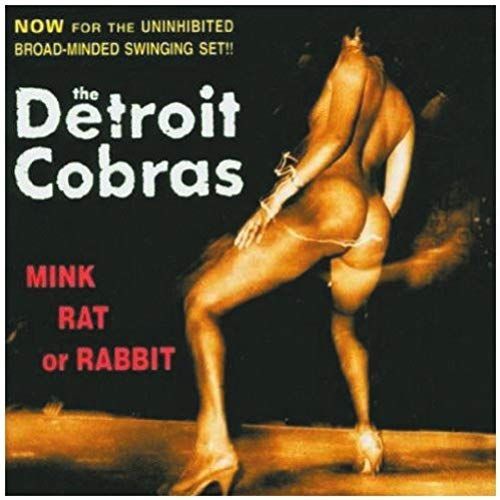 Mink, Rat Or Rabbit