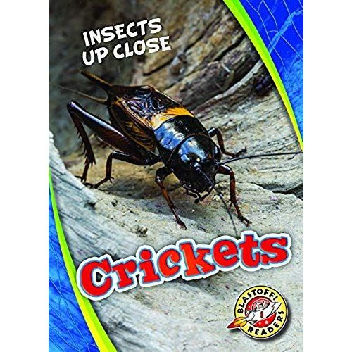Crickets
