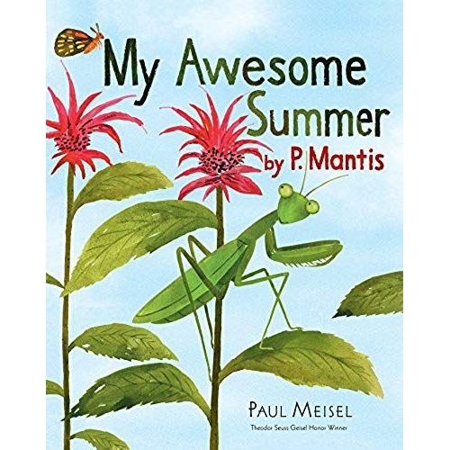 My Awesome Summer By P. Mantis