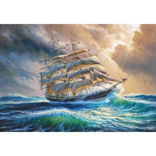 Puzzle 1000 Pièces Sailing Against All Odds