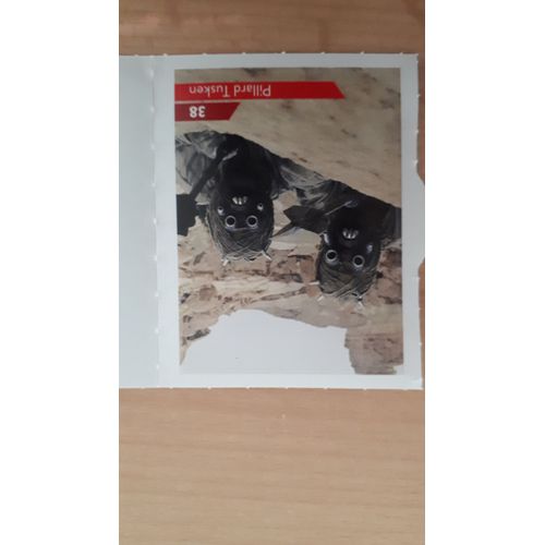 Carte Leclerc Star Wars 2019 Pillard Tusken Numéro 38