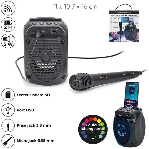 ENCEINTE KARAOKÉ SANS FIL MICRO SMARTPHONE 5W