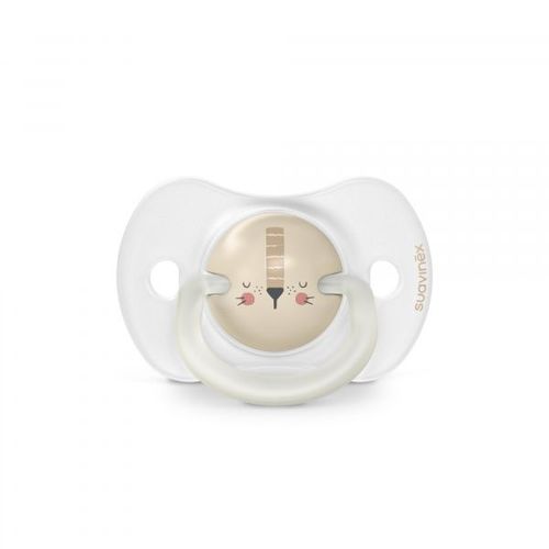 Lot De 2 Sucettes Symétrique Sx Pro 0-6 Mois Night&day Lion