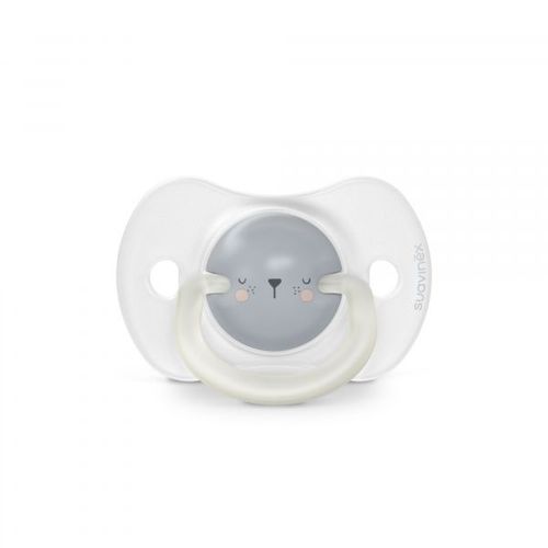 Lot De 2 Sucettes Symétrique Sx Pro 6 -18 Mois Night&day Ours